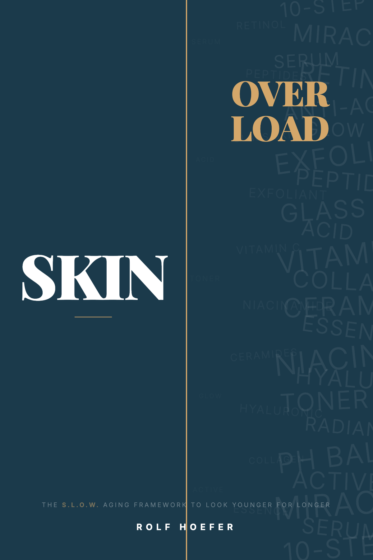 Skin Overdraft book cover